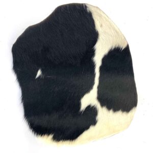 australian cow disc hair on