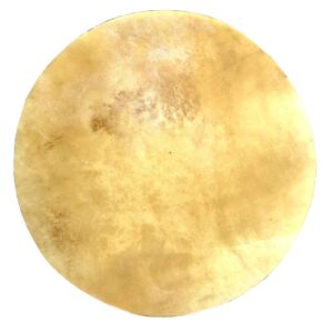 Calf disc djembe