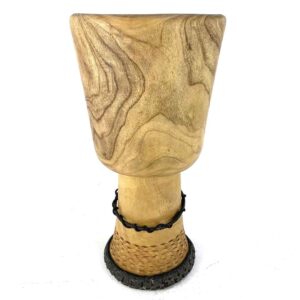 Primo Series - 11.5" Guinea Shell - Delite
