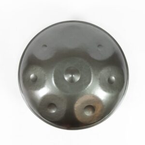 Primo Series Handpan - D Gudu - The handpan has a rich