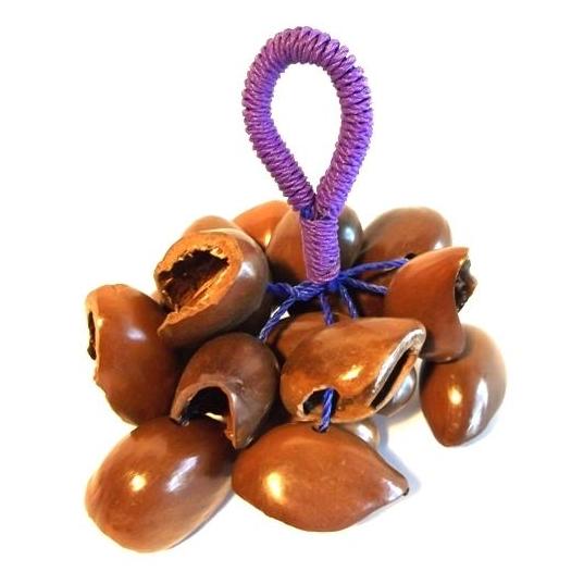 The rain shaker is a great percussive instrument for kids and adults alike