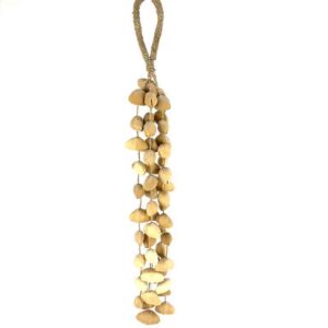 standard seedpod rattle